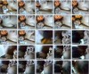 My Hot Mallu Girls Homemade Videos, Movies & MMS Scandalz