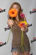 AnnaLynne McCord アナリン・マッコード