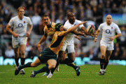 6826fb55158583.gif