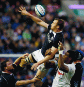 17fa8356054274.gif