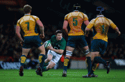 4ce99f56290512.gif