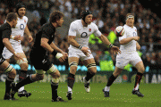 079e6457020542.gif