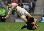 e4c6af57024445.gif