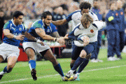 e1973c57046565.gif