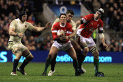 a8c14d67038552.gif