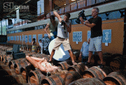 13955267388072.gif