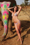 dade2b67386702.gif