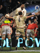 9e52da67429140.gif