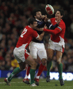 2507d769805693.gif