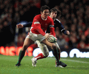 6c97fd69805963.gif