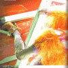 imagebam.com