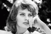 0f3f5875965798.gif