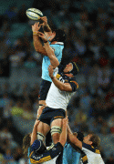 17d18d77843330.gif