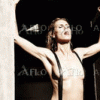 092f8778731704.gif