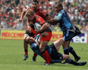 2723a281727195.gif