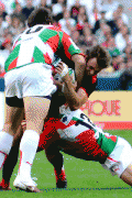 667e1c81942878.gif