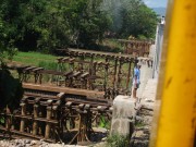 [Image: 57b60491603898.jpg]