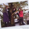 imagebam.com